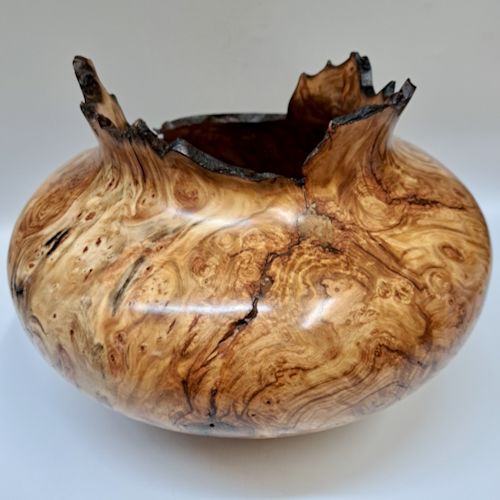 Click to view detail for JW-263 Colorado Aspen Burl Hollow Woodturning $850